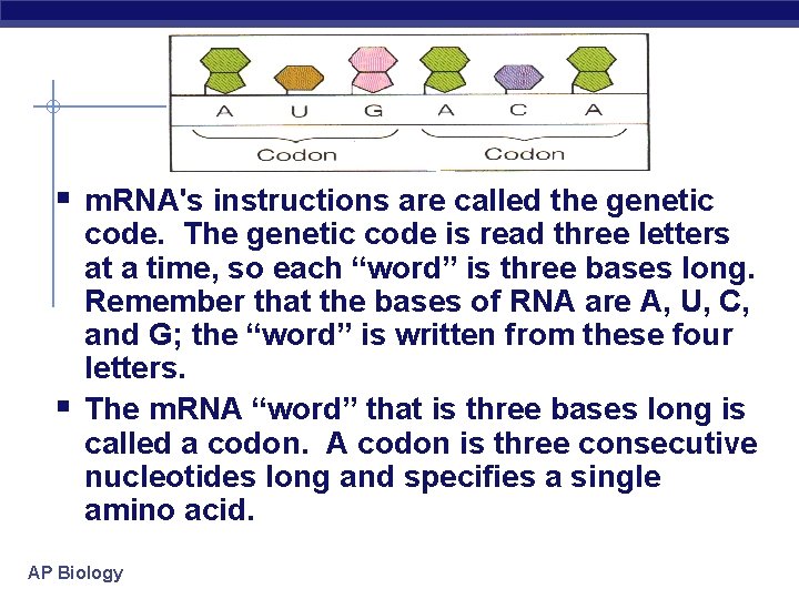 § m. RNA's instructions are called the genetic § code. The genetic code is
