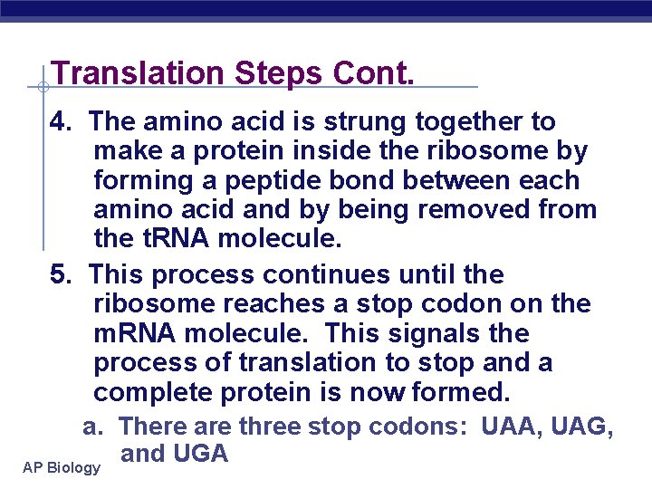 Translation Steps Cont. 4. The amino acid is strung together to make a protein