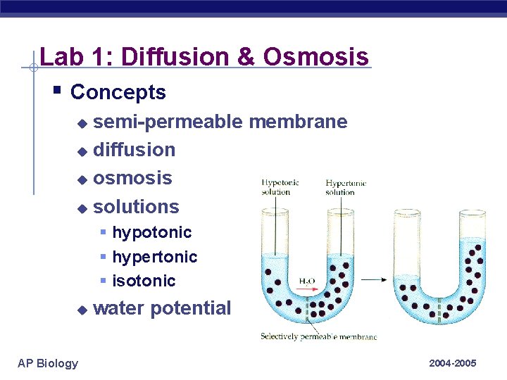 Lab 1: Diffusion & Osmosis § Concepts semi-permeable membrane u diffusion u osmosis u