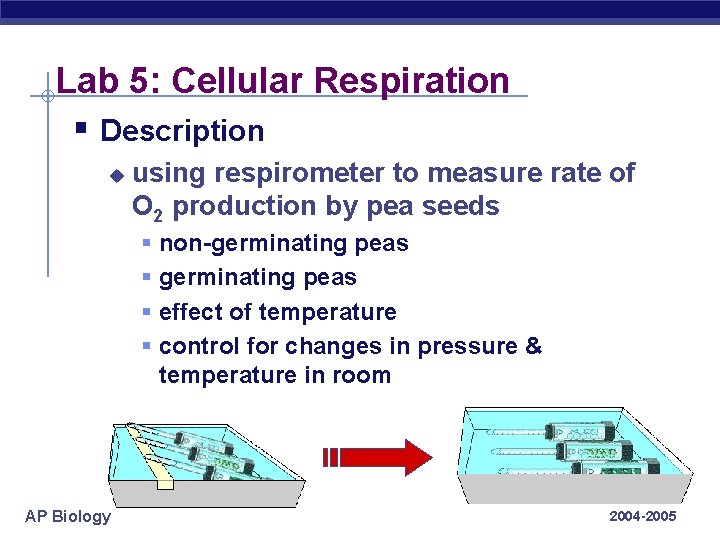Lab 5: Cellular Respiration § Description u using respirometer to measure rate of O