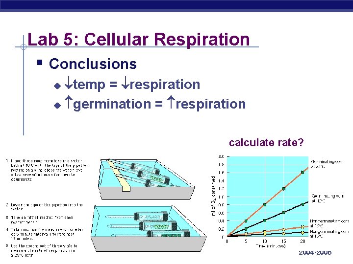 Lab 5: Cellular Respiration § Conclusions temp = respiration u germination = respiration u