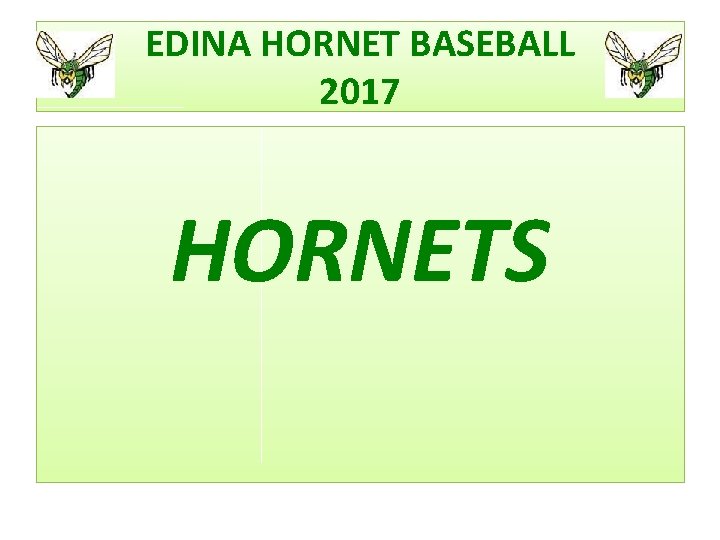 EDINA HORNET BASEBALL 2017 HORNETS 