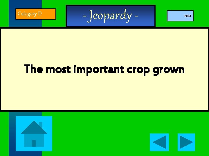 Category D - Jeopardy - 100 The most important crop grown 