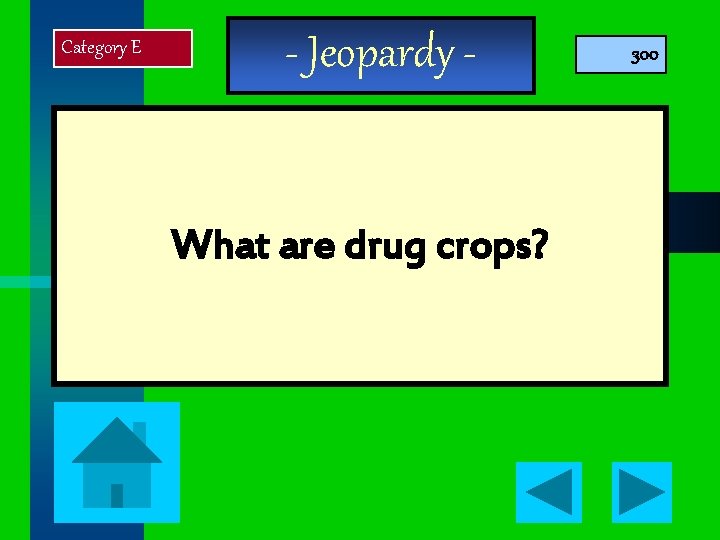 Category E - Jeopardy - What are drug crops? 300 