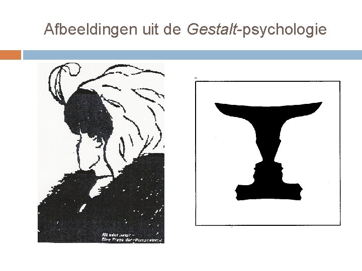 Afbeeldingen uit de Gestalt-psychologie 