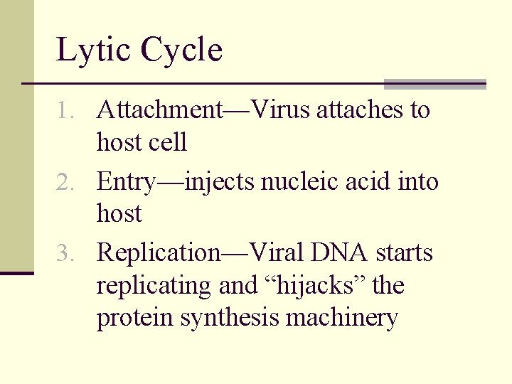 Lytic Cycle 1. Attachment—Virus attaches to host cell 2. Entry—injects nucleic acid into host