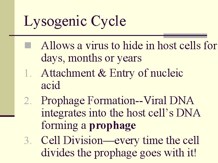 Lysogenic Cycle n Allows a virus to hide in host cells for days, months