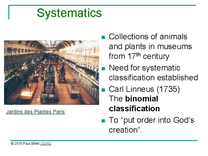 Subclass Systematics THE CLASSIFICATION OF LIVING ORGANISMS Taxonomy or Systematics
