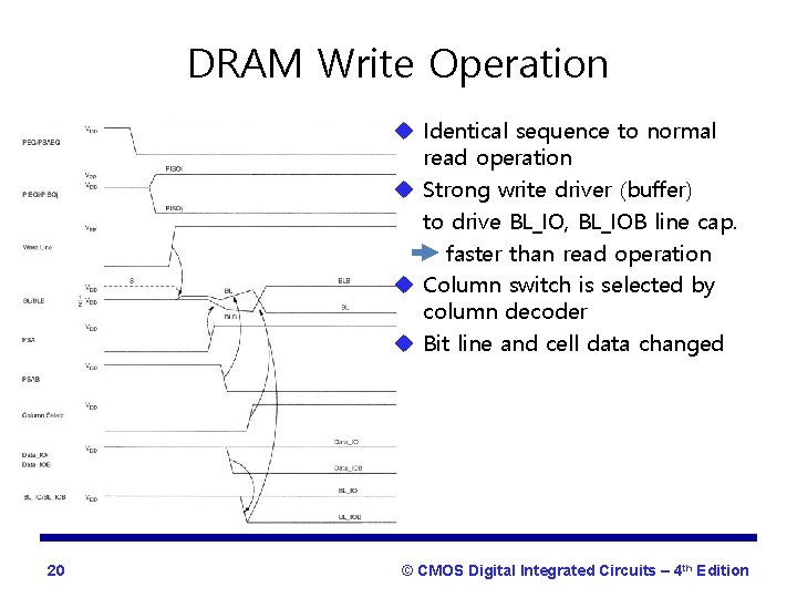 DRAM Write Operation u Identical sequence to normal read operation u Strong write driver