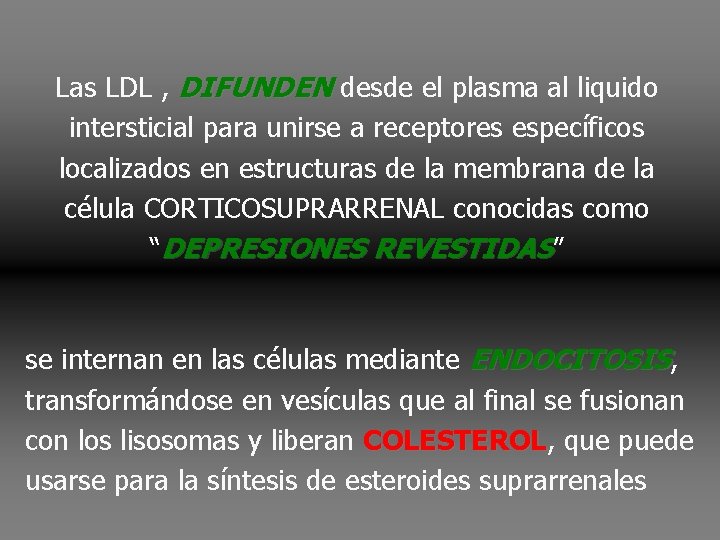Las LDL , DIFUNDEN desde el plasma al liquido intersticial para unirse a receptores Las LDL , DIFUNDEN desde el plasma al liquido intersticial para unirse a receptores