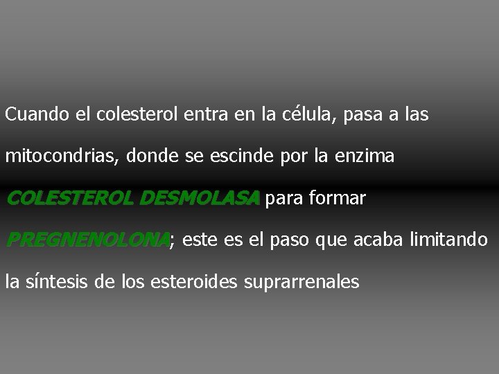 Cuando el colesterol entra en la célula, pasa a las mitocondrias, donde se escinde Cuando el colesterol entra en la célula, pasa a las mitocondrias, donde se escinde