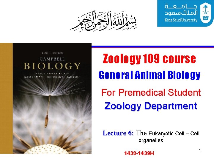 Zoology 109 course General Animal Biology For Premedical Student Zoology Department Lecture 6: The