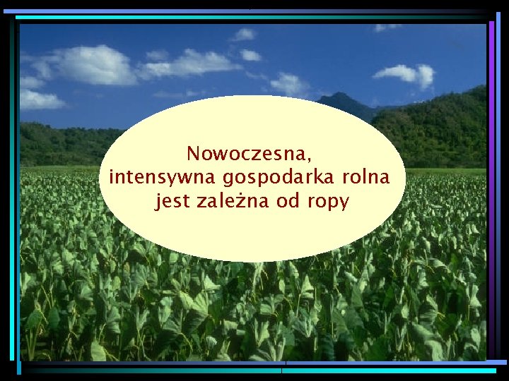 Nowoczesna, intensywna gospodarka rolna jest zależna od ropy 