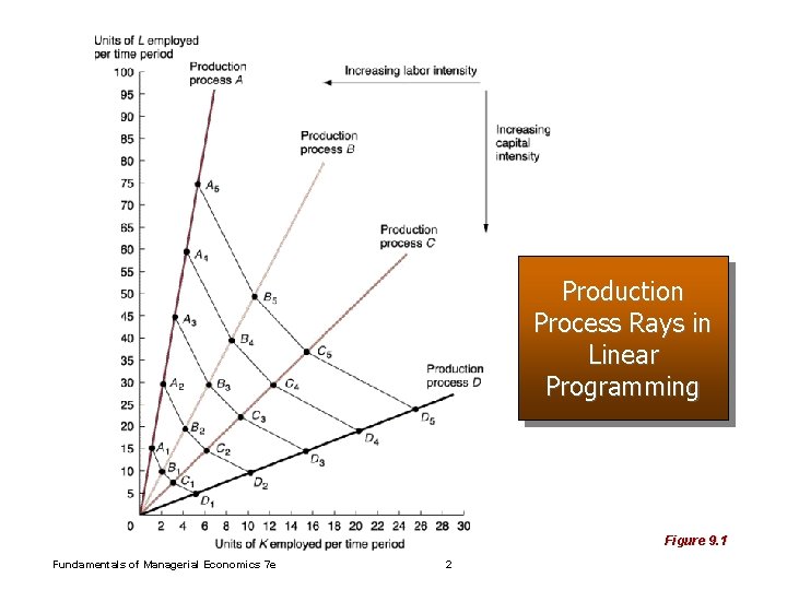Production Process Rays in Linear Programming Figure 9. 1 Fundamentals of Managerial Economics 7