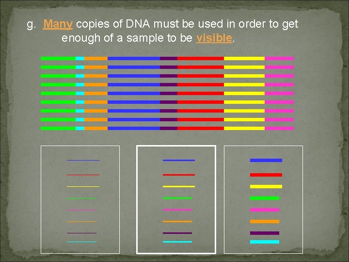 g. Many copies of DNA must be used in order to get enough of