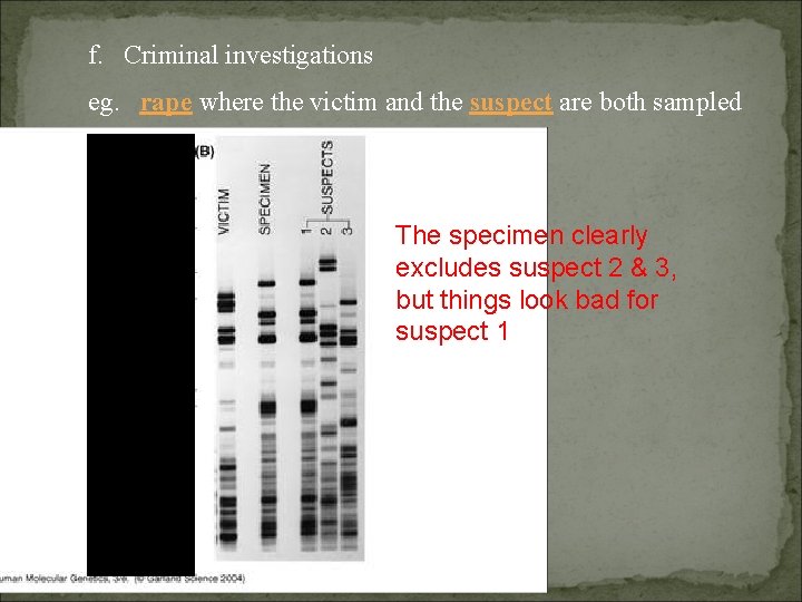 f. Criminal investigations eg. rape where the victim and the suspect are both sampled