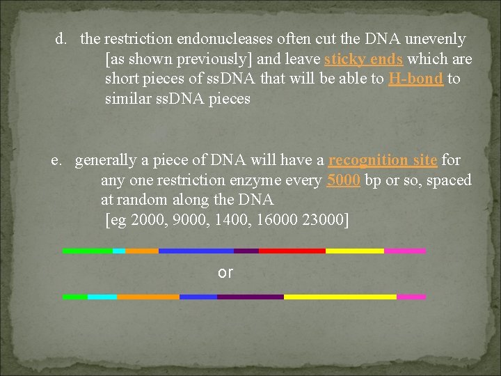 d. the restriction endonucleases often cut the DNA unevenly [as shown previously] and leave