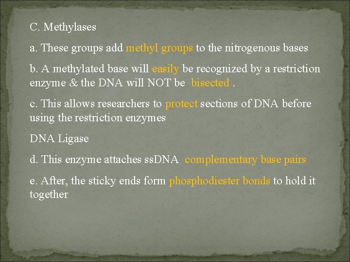 C. Methylases a. These groups add methyl groups to the nitrogenous bases b. A