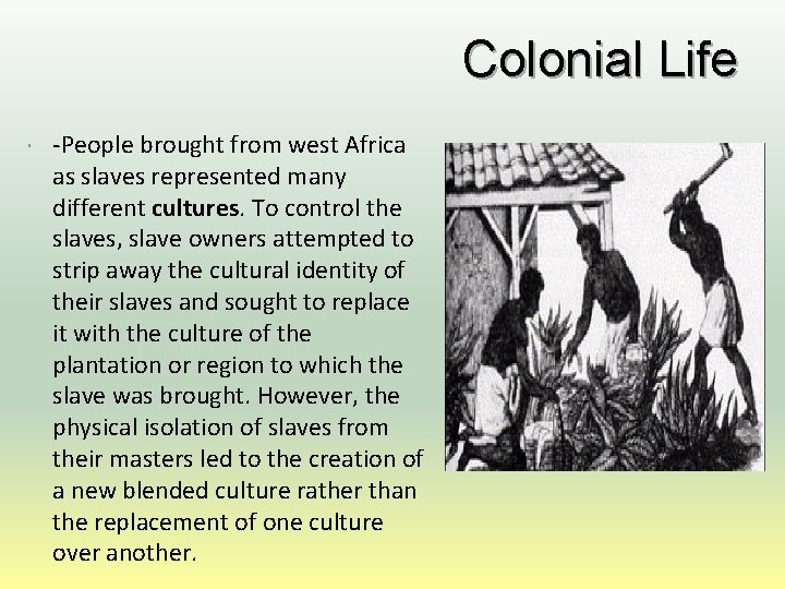 Colonial Life -People brought from west Africa as slaves represented many different cultures. To
