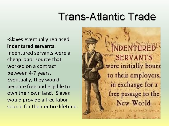 Trans-Atlantic Trade -Slaves eventually replaced indentured servants. Indentured servants were a cheap labor source
