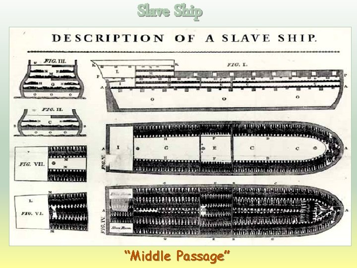 Slave Ship “Middle Passage” 