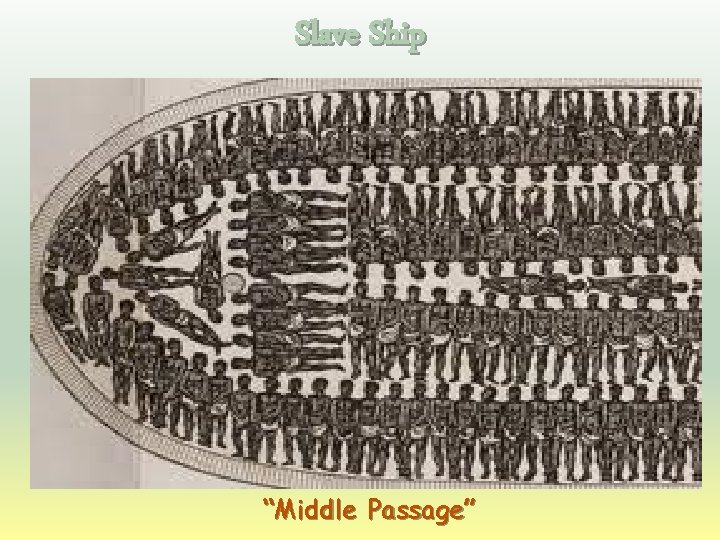 Slave Ship “Middle Passage” 