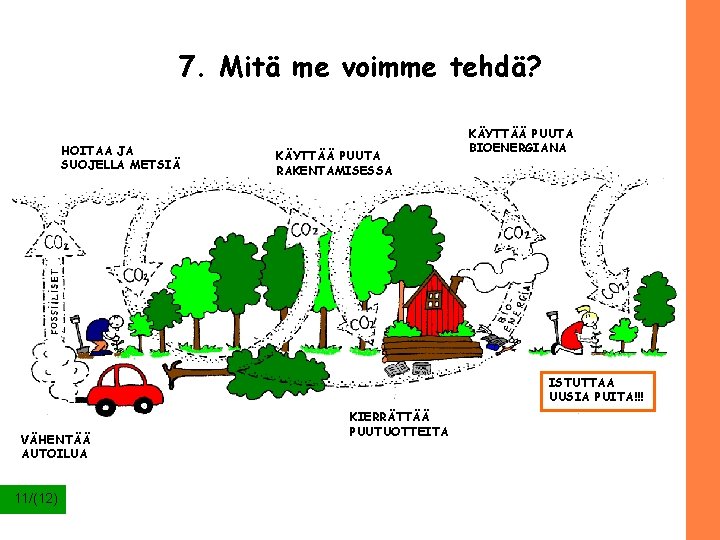 7. Mitä me voimme tehdä? HOITAA JA SUOJELLA METSIÄ KÄYTTÄÄ PUUTA RAKENTAMISESSA KÄYTTÄÄ PUUTA