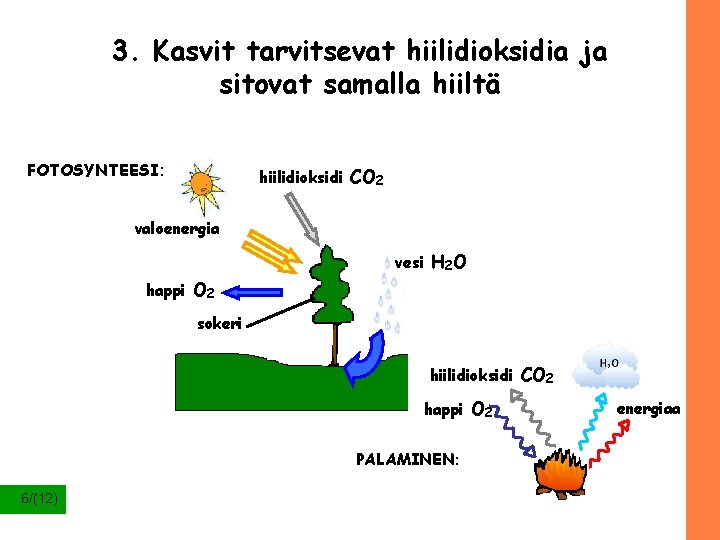 3. Kasvit tarvitsevat hiilidioksidia ja sitovat samalla hiiltä FOTOSYNTEESI: hiilidioksidi CO 2 valoenergia vesi