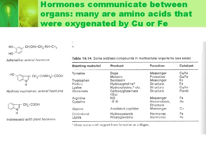 Hormones communicate between organs: many are amino acids that were oxygenated by Cu or Hormones communicate between organs: many are amino acids that were oxygenated by Cu or