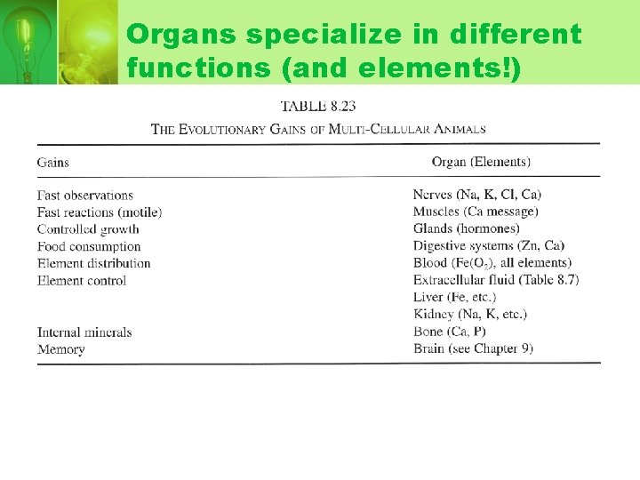 Organs specialize in different functions (and elements!) Organs specialize in different functions (and elements!)