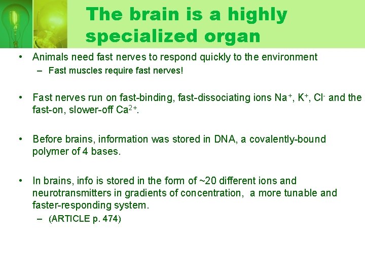 The brain is a highly specialized organ • Animals need fast nerves to respond The brain is a highly specialized organ • Animals need fast nerves to respond
