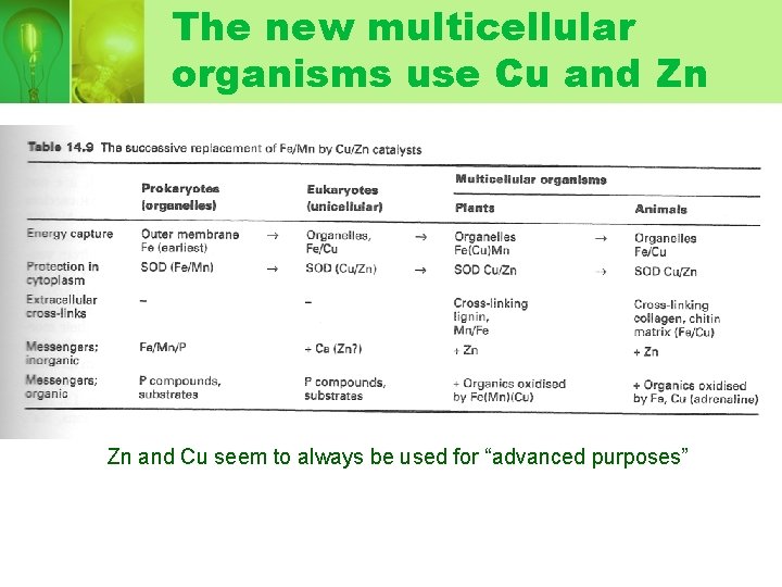 The new multicellular organisms use Cu and Zn Zn and Cu seem to always The new multicellular organisms use Cu and Zn Zn and Cu seem to always
