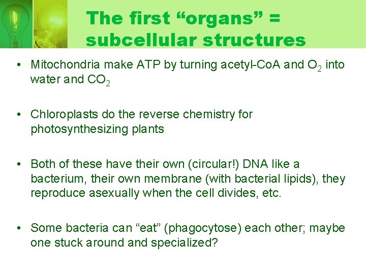 The first “organs” = subcellular structures • Mitochondria make ATP by turning acetyl-Co. A The first “organs” = subcellular structures • Mitochondria make ATP by turning acetyl-Co. A