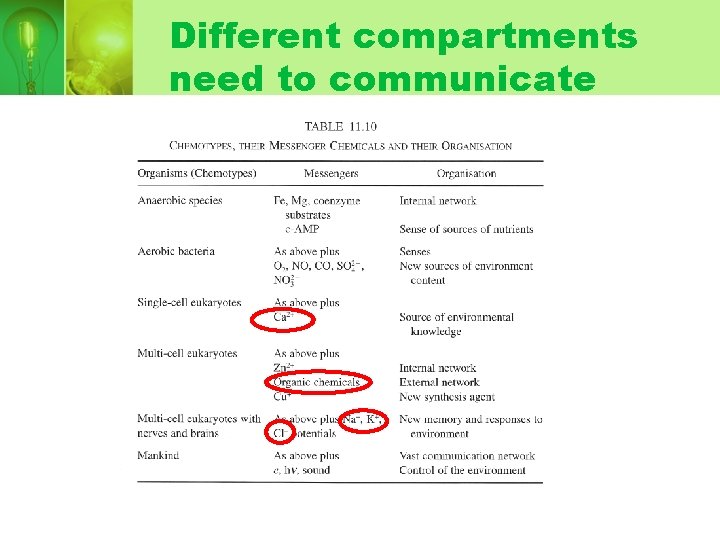 Different compartments need to communicate Different compartments need to communicate