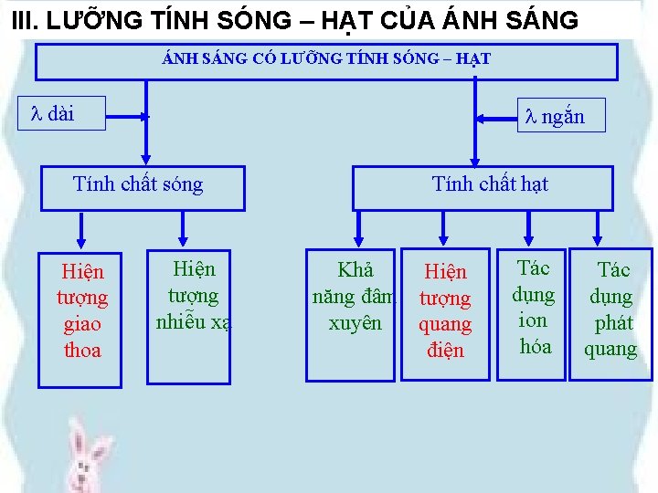 III. LƯỠNG TÍNH SÓNG – HẠT CỦA ÁNH SÁNG CÓ LƯỠNG TÍNH SÓNG –