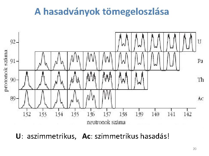 A hasadványok tömegeloszlása U: aszimmetrikus, Ac: szimmetrikus hasadás! 20 