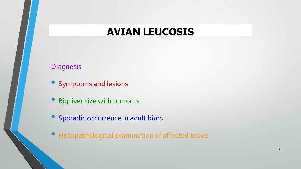 AVIAN LEUCOSIS Diagnosis • Symptoms and lesions • Big liver size with tumours •