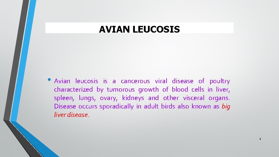 AVIAN LEUCOSIS • Avian leucosis is a cancerous viral disease of poultry characterized by