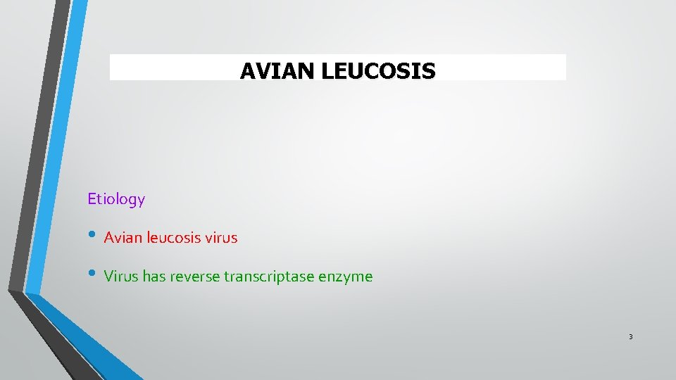 AVIAN LEUCOSIS Etiology • Avian leucosis virus • Virus has reverse transcriptase enzyme 3