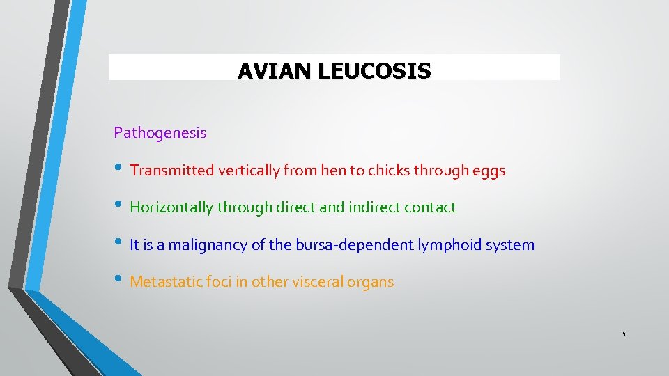 AVIAN LEUCOSIS Pathogenesis • Transmitted vertically from hen to chicks through eggs • Horizontally