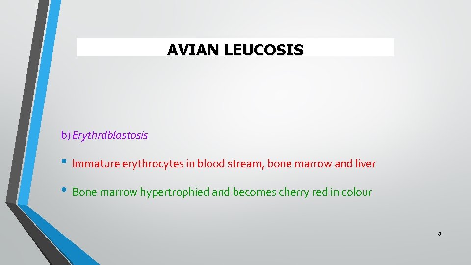 AVIAN LEUCOSIS b) Erythrdblastosis • Immature erythrocytes in blood stream, bone marrow and liver