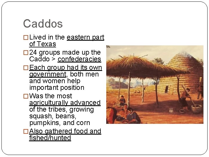 Caddos � Lived in the eastern part of Texas � 24 groups made up