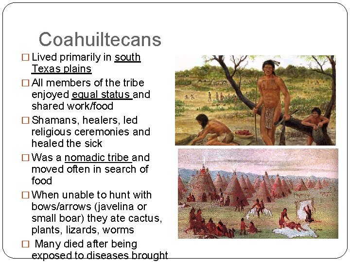 Coahuiltecans � Lived primarily in south Texas plains � All members of the tribe