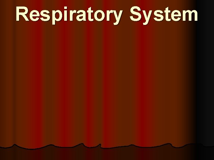 Respiratory System 