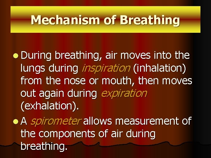 Mechanism of Breathing l During breathing, air moves into the lungs during inspiration (inhalation)