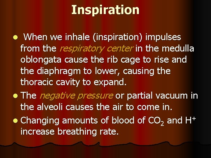 Inspiration When we inhale (inspiration) impulses from the respiratory center in the medulla oblongata