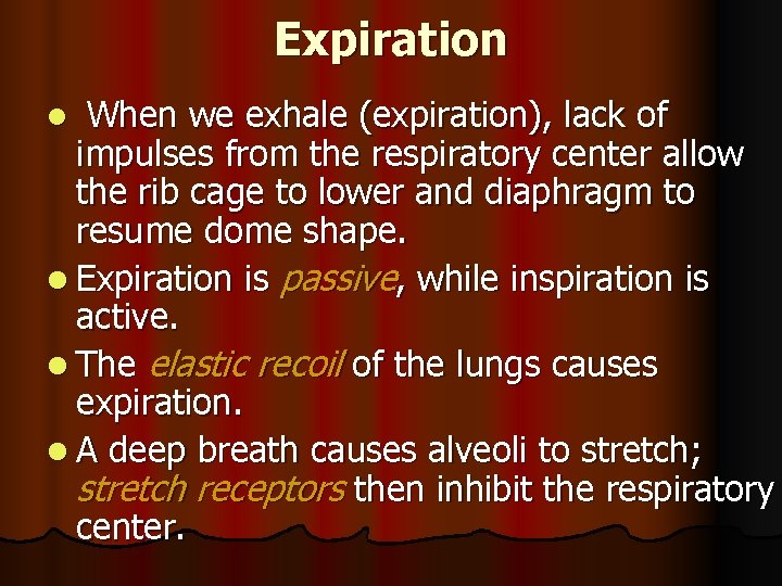 Expiration When we exhale (expiration), lack of impulses from the respiratory center allow the