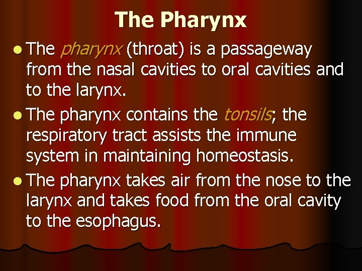 The Pharynx l The pharynx (throat) is a passageway from the nasal cavities to