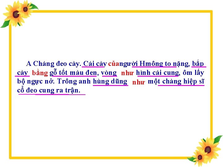 A Cháng đeo cày. Cái cày củangười Hmông to nặng, bắp cày bằng gỗ