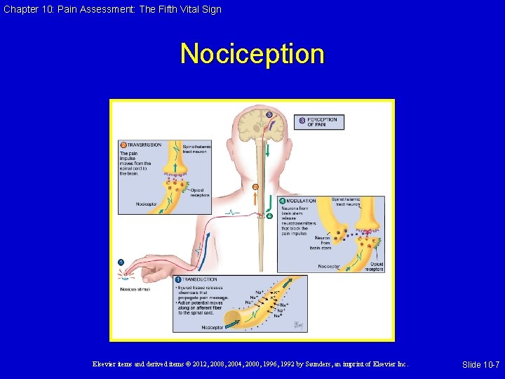 Chapter 10: Pain Assessment: The Fifth Vital Sign Nociception Elsevier items and derived items